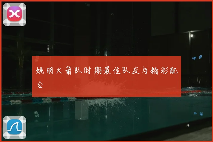 姚明火箭队时期最佳队友与精彩配合