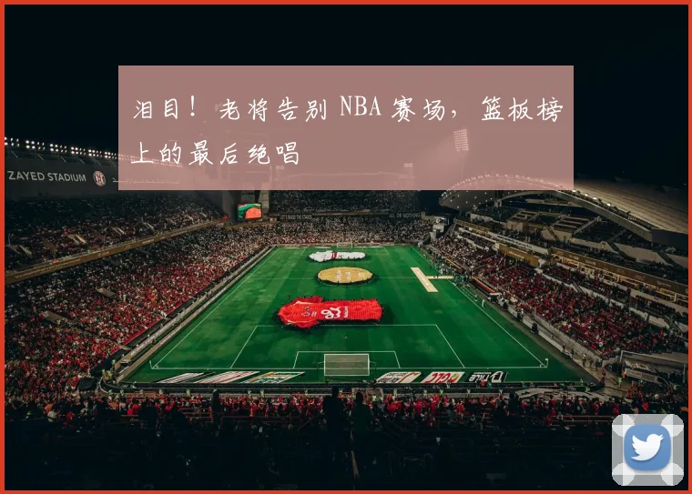 泪目！老将告别 NBA 赛场，篮板榜上的最后绝唱